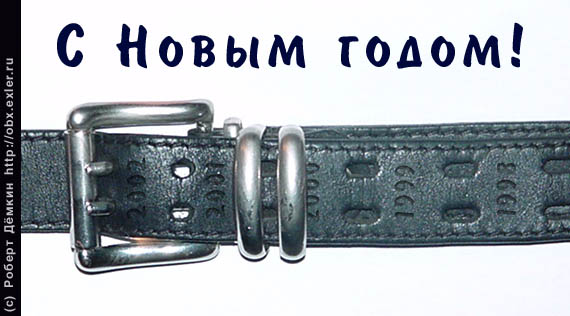 Экопульс.  Встреча нашего 2011 нового года!