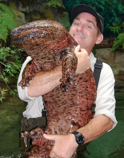 http://www.exler.ru/blog/upload/Image/BB-Japanese-Giant-Salamander.jpg
