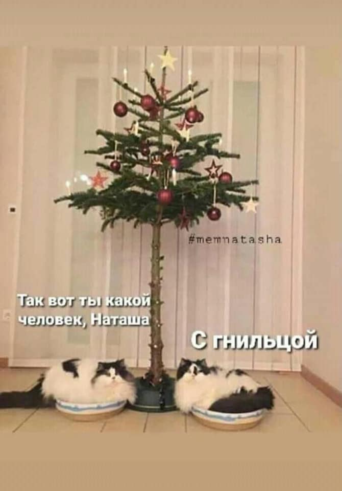 5fdf37f2e3266.jpg